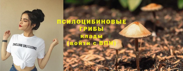 марки nbome Богородицк