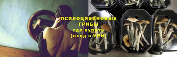 бутират Богданович
